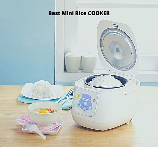 Before Buying Any Mini Rice Cooker – Read This!